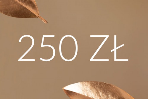 Voucher 250 zł