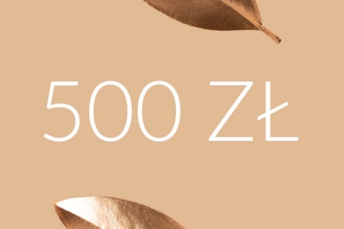 Voucher 500 zł